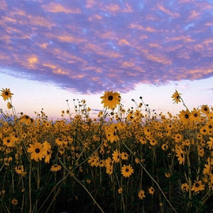 性感美女裸体视频
